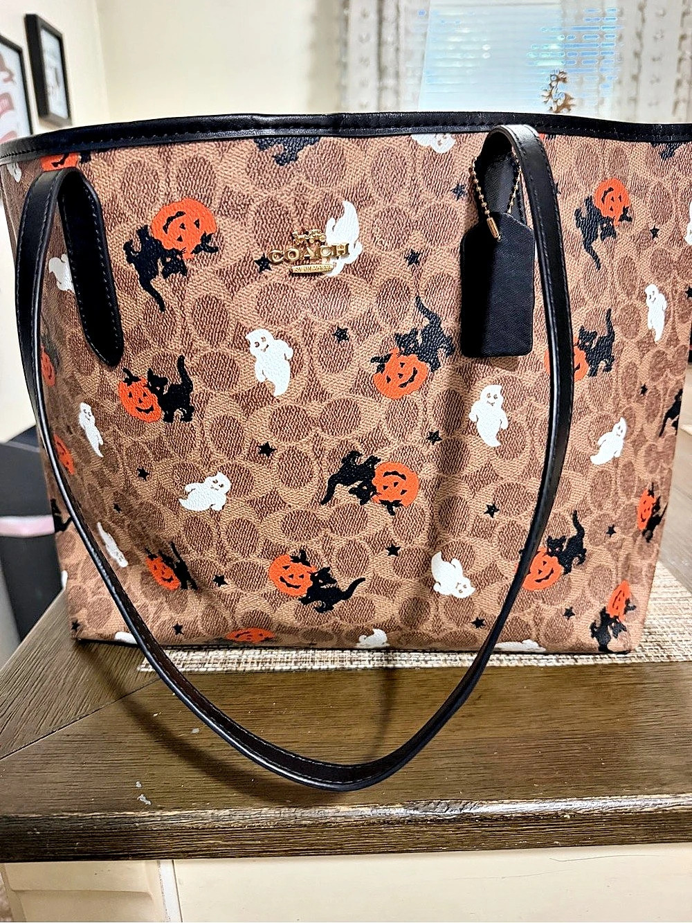 COACH City Tote In Signature Canvas With Halloween Print Brown & Black
